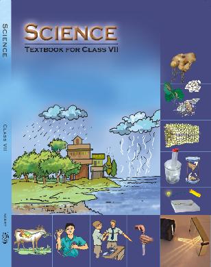 NCERT solutions for Class 7 Science Forest our lifeline