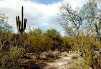 NCERT Solutions for Class 7 Social Science Geography Natural Vegetation and Wild Life