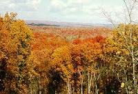 NCERT Solutions for Class 7 Social Science Geography Natural Vegetation and Wild Life
